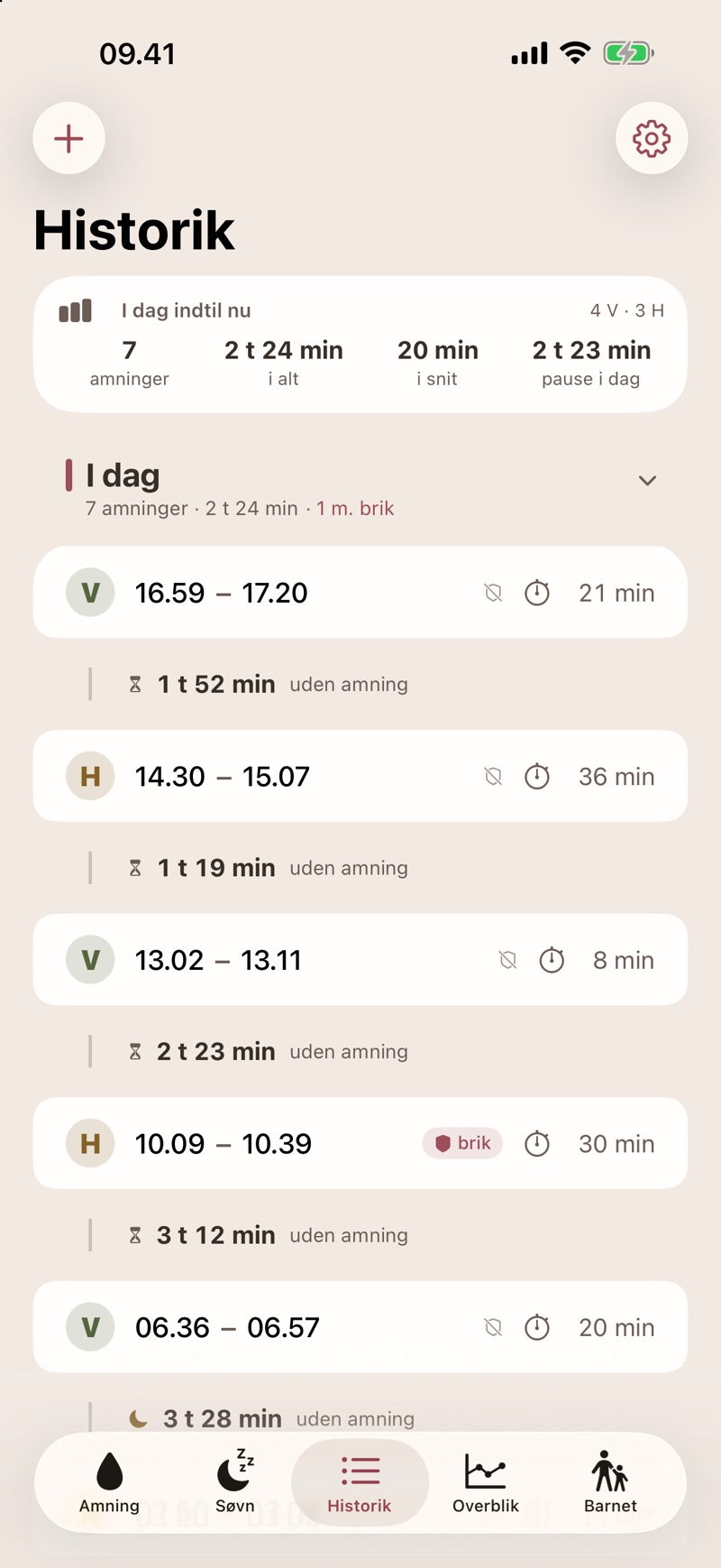 Historik i Ammehjerne